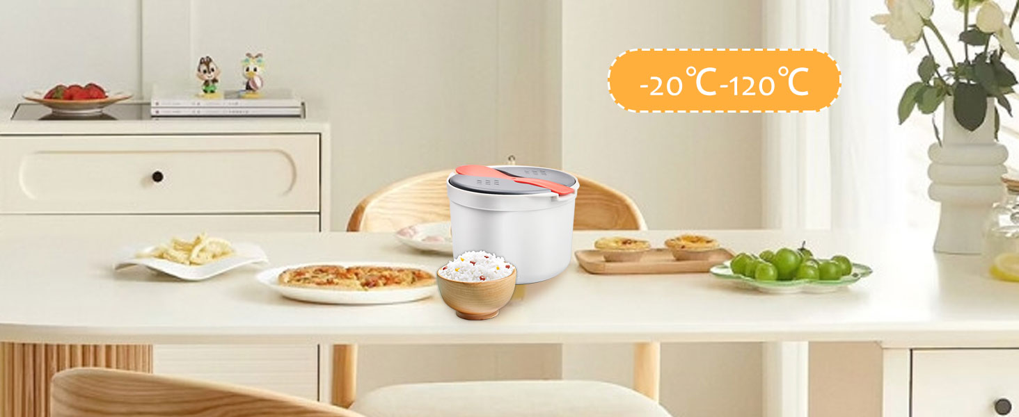 Cuiseur de Riz Micro Onde