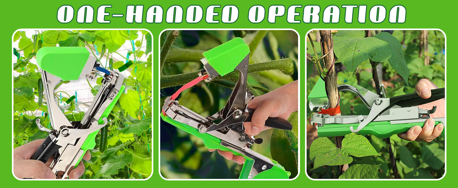 lien pour attacher les tomates