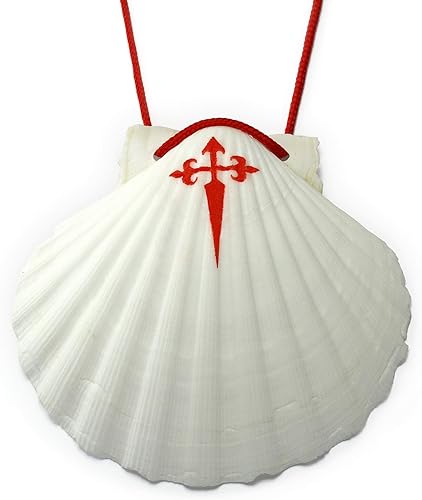 J[B] Coquille Saint-Jacques 11 x 10 cm - Nail Gallerys