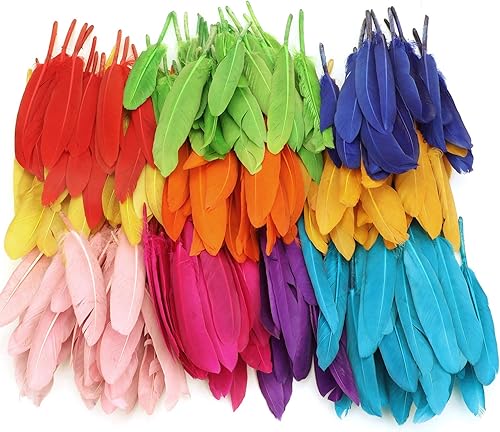 MWOOT 240 Pièces Plumes Colorées, Naturel Artisanat Plumes d'oie pour DIY Craft Boucles d'oreilles Artisanat Accueil Fête Mariage Baby Shower Décorations (4-6 Pouces) - Nail Gallerys