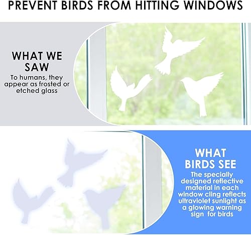 Autocollants Anti-Collision Oiseaux – 16 Stickers Réutilisables Électrostatiques, Motifs d’Oiseaux Variés, Grands Formats Translucides pour Fenêtres et Portes Vitrées Intérieures & Extérieures - Nail Gallerys