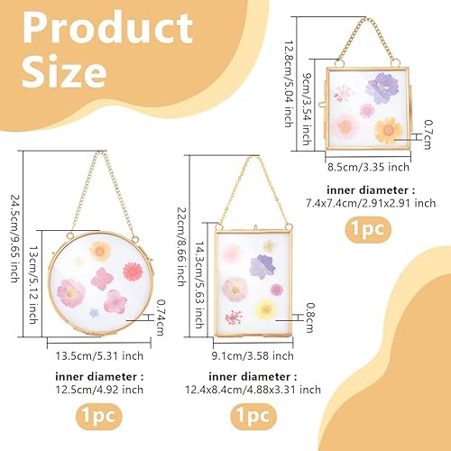 OLYCRAFT 3 Styles Cadres en Verre à Fleurs Pressées Cadre Photo Suspendu en Laiton Cadre Double en Verre Doré pour Fleurs Pressées avec Chaîne pour Fleurs Séchées Photo Poster Décoration Murale - Nail Gallerys