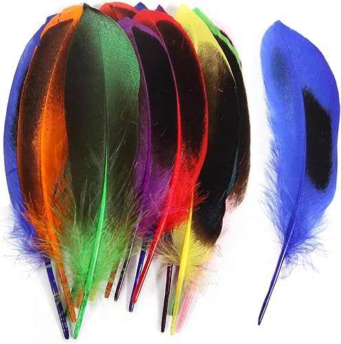SURALIN 80 Pièces Plumes Colorées Plumes Artisanat Coloré Plumes Plume Artisanat pour Bricolage Boucle D'oreille Mariage Attrape-rêves Coiffure Plumes - Nail Gallerys