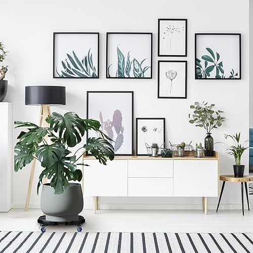 Relaxdays Support Plantes, Extensible, diamètre 40-57,5 cm, Plastique, Max. 200 kg, intérieur & extérieur, Gris foncé - Nail Gallerys