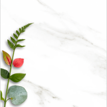 Tapis à vaisselle en bambou