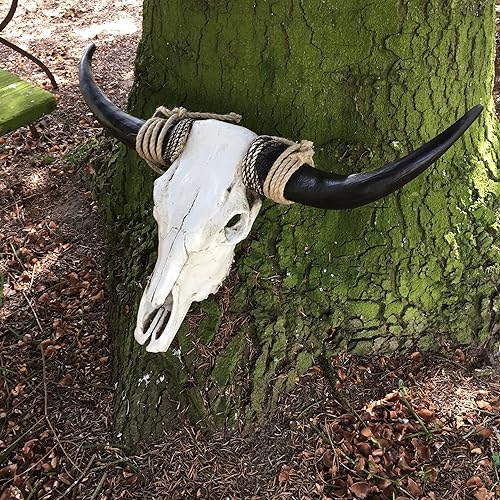 Antikas Décoration murale en forme de crâne de taureau - Nail Gallerys