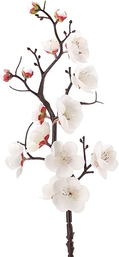 SUREH Lot de 5 fleurs de prunier artificielles blanches à longues tiges en plastique - Simulation de fleurs de cerisier - Fleurs artificielles en soie - Fleurs de pêche florales pour mariage, - Nail Gallerys