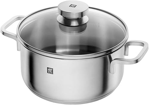 ZWILLING Set de 5 Casseroles, Argenté 18/10 de Haute Qualité, série Focus - Nail Gallerys