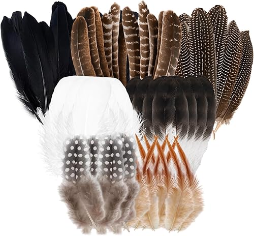 RobLuX 90 Pièces Plumes Faisan Naturelles Plume Decoration 7 Styles de Plumes Artisanales pour L'artisanat Les Fêtes Les Masques Le Carnaval Les Décorations d'halloween - Nail Gallerys
