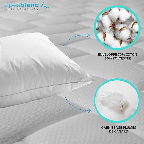Alpes Blanc Oreiller Naturel en Plumes - Rectangulaire 45 x 70 cm - Nail Gallerys