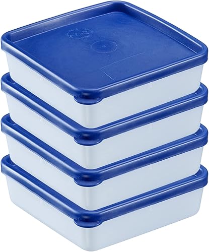 Westmark 4 Boîtes à Herbes/Epices, Couvercle Incl., Volume : env. 100 ml, Empilable, Plastique, Trio, Couleur: Transparent/Bleu, 25742270 - Nail Gallerys