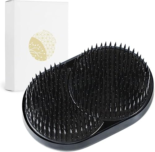 Wazakura Ikebana Kenzan Soleil and Lune - Outil Fabriqué au Japon - Support de Fleurs Japonais Couleur Noir pour Arrangement Floral - Nail Gallerys