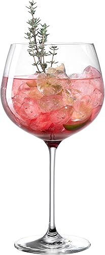 Leonardo Il Mondo 064990 Lot de 2 verres à gin tonic en cristal de qualité supérieure - Contenance 750 ml - Passe au lave-vaisselle - 2 verres à long drink transparents - Nail Gallerys