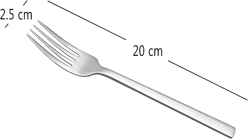 Tstorage Lot de Fourchette Fourchettes de Table en Acier Inoxydable, Lot de 12 - Nail Gallerys