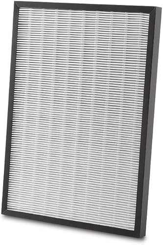 De'longhi Filtre de rechange HEPA et charbon actif pour épurateur d'air extra-large - Nail Gallerys