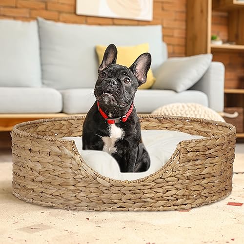 Relaxdays Couchage pour Chien et Chat, Rond, HxD : 15x49 cm, Petite Corbeille pour Votre Animal, zostère, Nature - crème - Nail Gallerys